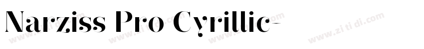 Narziss Pro Cyrillic字体转换